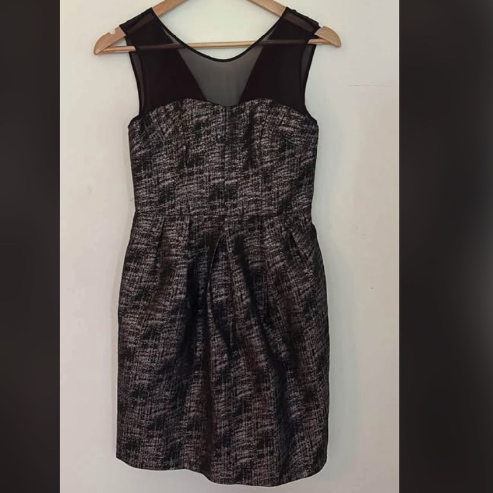 Club Monaco Shimmer dress